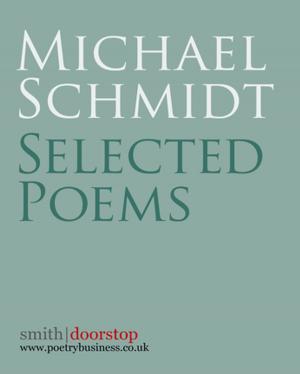 Book cover of Michael Schmidt: Selected Poems