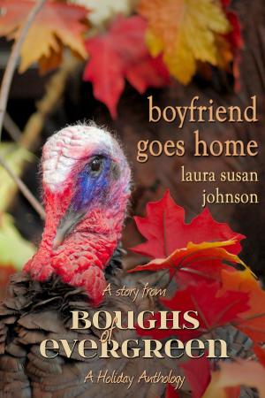 Cover of the book Boyfriend Goes Home by Anne O'Gleadra