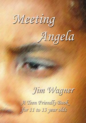 Cover of the book Meeting Angela by Jim Wagner