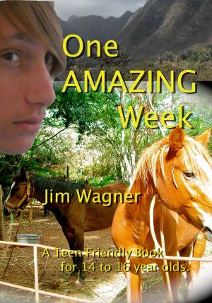 Cover of the book One Amazing Week by Jim Wagner