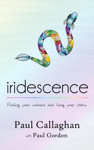 Cover of the book iridescence by Jeff Hopkins