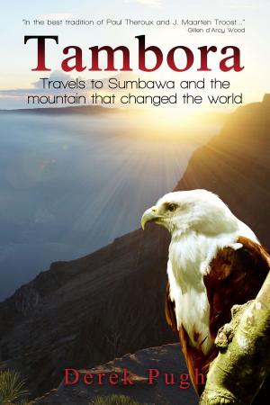 Cover of the book Tambora by John Connolly