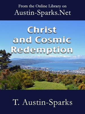 Cover of Christ and Cosmic Redemption