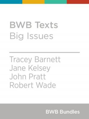 Cover of the book BWB Texts: Big Issues by Eva Markert