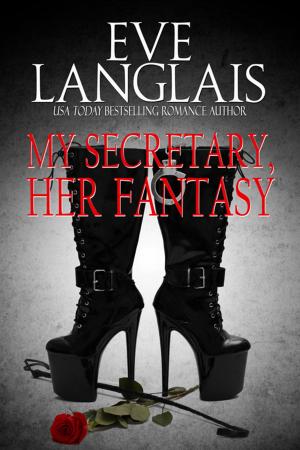 Cover of the book My Secretary, Her Fantasy by J.D. Killi