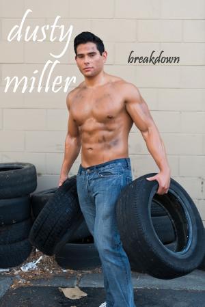 Cover of the book Breakdown by Constance 'Dusty' Miller