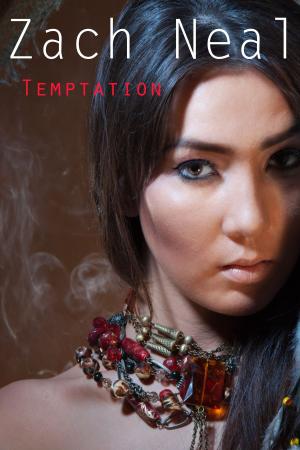 Cover of the book Temptation by David Joseph