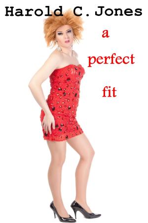 Cover of the book A Perfect Fit by Constance 'Dusty' Miller