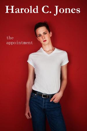 Cover of the book The Appointment by Ian W. Cooper
