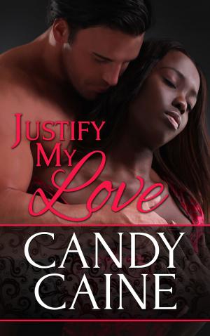 Cover of the book Justify My Love by Bobbi Cole Meyer