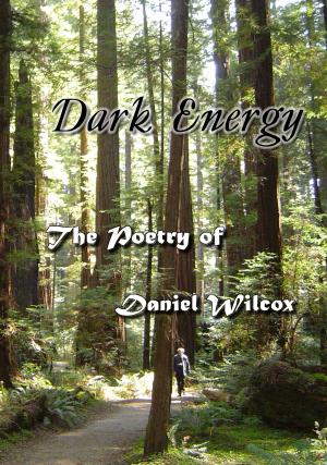 Book cover of Dark Energy
