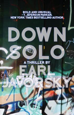 Cover of the book Down Solo by Peter Seth