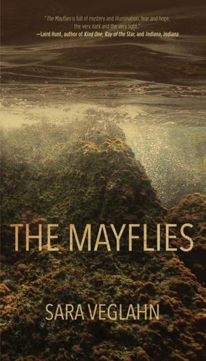 Cover of the book The Mayflies by William Seabrook