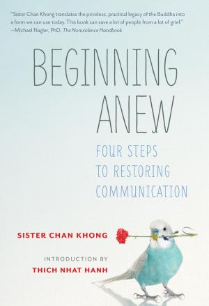 Cover of the book Beginning Anew by Daniel Blum