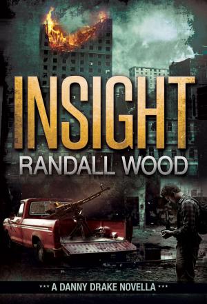 Cover of the book Insight by Eva Jane LaRoux