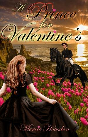 Book cover of A Prince for Valentine's