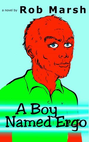 Cover of the book A Boy Named Ergo by Patricia Kiyono