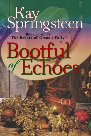 bigCover of the book Bootful of Echoes by 
