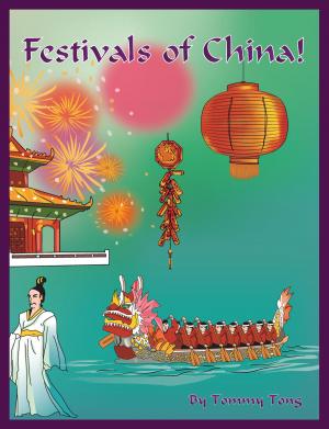 Cover of Festivals of China!