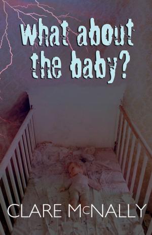 Cover of the book What About the Baby? by Aaron Pitters