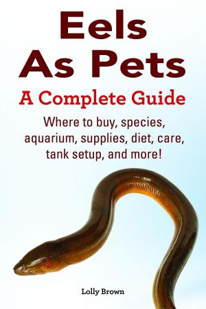 Cover of the book Eels As Pets. Where to buy, species, aquarium, supplies, diet, care, tank setup, and more! A Complete Guide by Riley Star