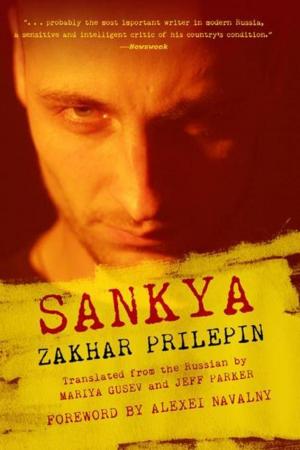 Cover of the book Sankya by Joseph McElroy, Jonathan Lethem