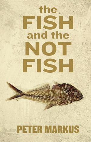 Cover of the book The Fish and the Not Fish by Debra Busman