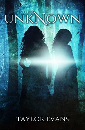 Book cover of The Unknown (The Sorcerers' Prophecy Book 1)