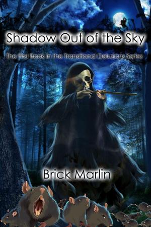 Cover of the book Shadow Out of the Sky by Dan Jolley