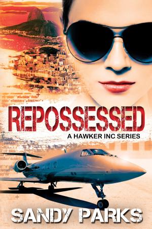 Cover of the book Repossessed by Lucy Appadoo