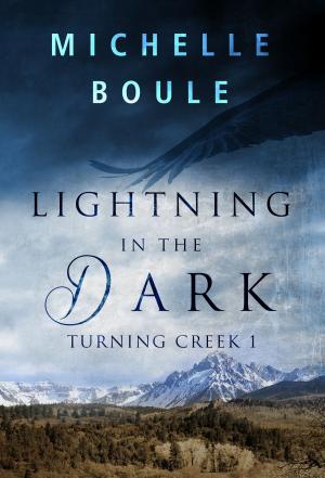 Cover of the book Lightning in the Dark by Travis Horseman