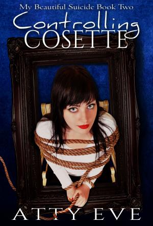 Cover of the book Controlling Cosette by Bertrand PEILLARD