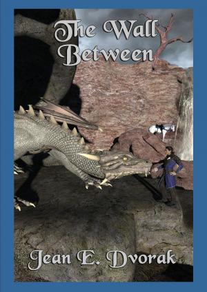 Cover of the book The Wall Between by C.L. Cannon