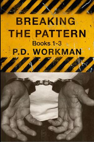bigCover of the book Breaking the Pattern by 