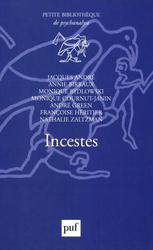 Cover of the book Incestes by Christine Jean-Strochlic, Bernard Chervet