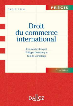 Cover of the book Droit du commerce international by Christophe André