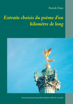 Cover of the book Extraits choisis du poème d'un kilomètre de long by Regina Lahner