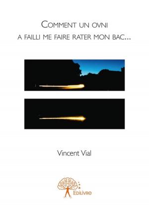 Cover of the book Comment un ovni a failli me faire rater mon bac... by Léo Lamarche