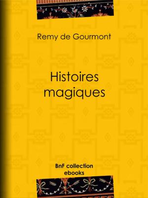Cover of the book Histoires magiques by Félix Bracquemond, Albert Lévy, Gaston Pinet, Armand Silvestre