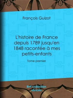 Cover of L'histoire de France depuis 1789 jusqu'en 1848 racontée à mes petits-enfants