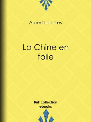 Cover of the book La Chine en folie by Edmond About