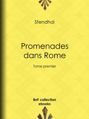 Book cover of Promenades dans Rome