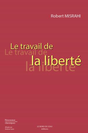 Book cover of Le Travail de la liberté