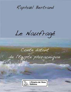 Book cover of Le Naufragé, conte datant de l'Egypte pharaonique