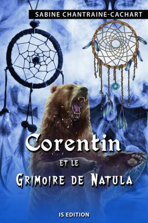 Cover of the book Corentin et le grimoire de Natula by Jean-Loup Izambert