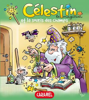 Cover of the book Célestin le magicien et la souris des champs by Galia Lami Dozo, Un jour, je serai…