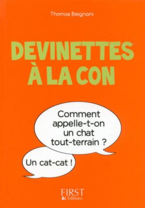 Cover of the book Petit Livre de - Devinettes à la con by Jami ATTENBERG