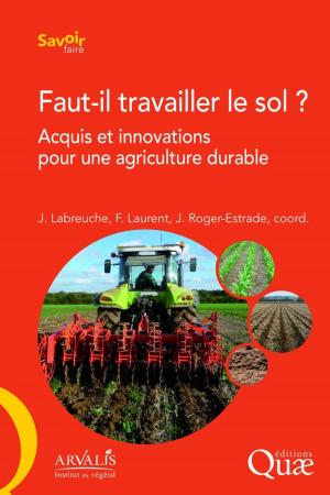 Cover of the book Faut-il travailler le sol ? by Jocelyne Porcher