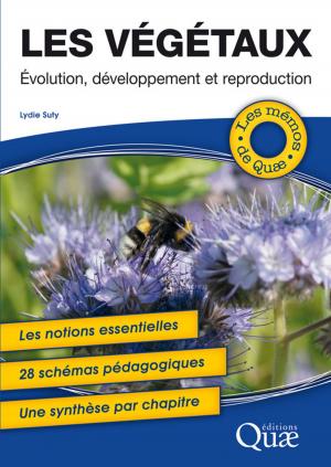 Cover of the book Les végétaux by Emmanuelle Cheyns, Nicolas Bricas