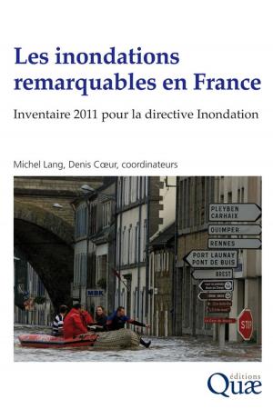Cover of the book Les inondations remarquables en France by Marc Jaeger, Eric Malézieux, Guy Trébuil